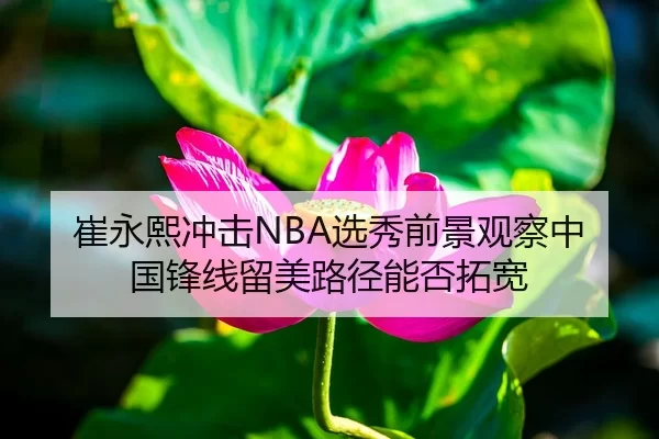 崔永熙冲击NBA选秀前景观察中国锋线留美路径能否拓宽