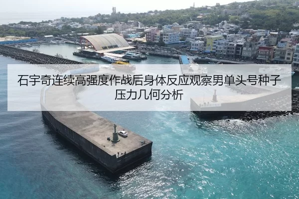 石宇奇连续高强度作战后身体反应观察男单头号种子压力几何分析