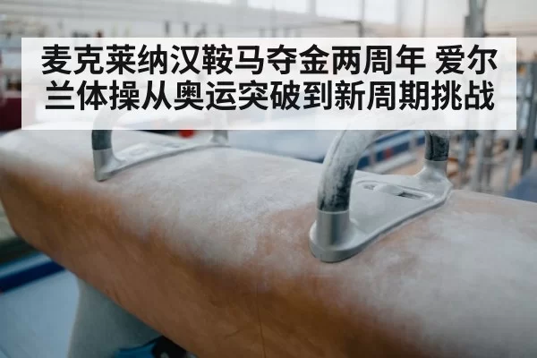 麦克莱纳汉鞍马夺金两周年 爱尔兰体操从奥运突破到新周期挑战